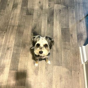 Meet your Posher, Candace